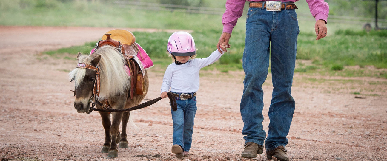 Miniature Horse Tack