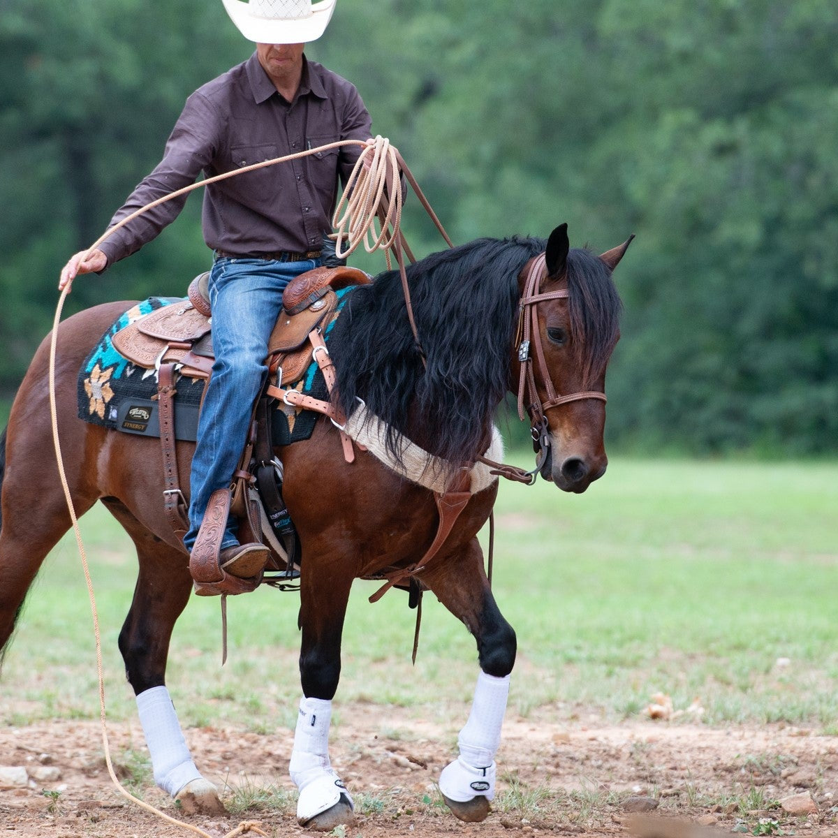 Great Deals on Quality Horse Tack & Gear | Weaver Equine