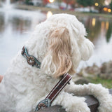 Savannah Collar