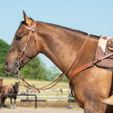 Latigo Leather Flat Sliding Ear Headstall