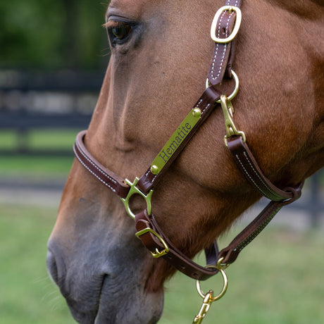 3/4" Double Stitch Adjustable Leather Halter