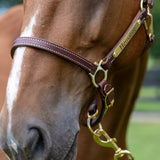 3/4" Double Stitch Adjustable Leather Halter