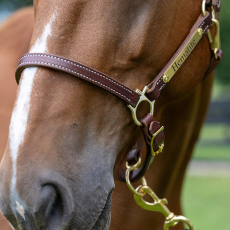 3/4" Double Stitch Adjustable Leather Halter