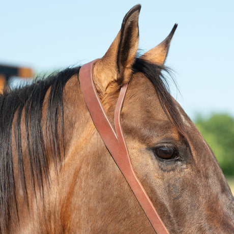 Oiled Hermann Oak Harness Leather Headstall with Designer Hardware