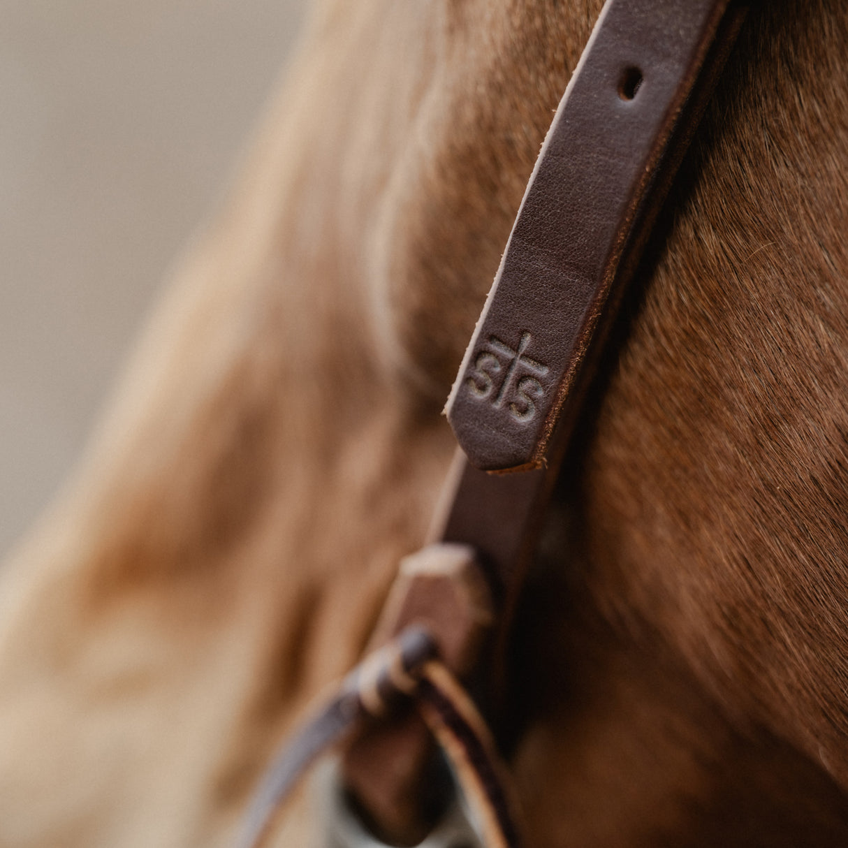 STS Ranch Signature Tack Harness Leather Browband Headstall, 3/4"