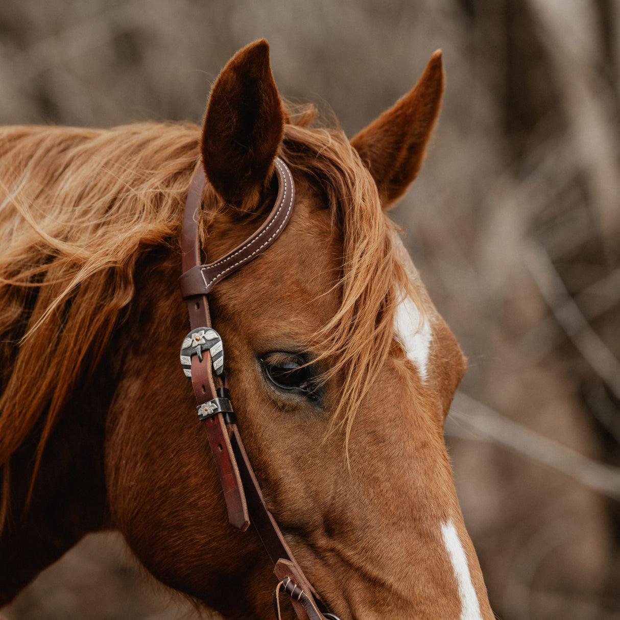 STS Ranch Signature Tack Harness Leather Sliding Ear Headstall, 3/4"