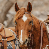 STS Ranch Signature Tack Harness Leather Browband Headstall, 3/4"