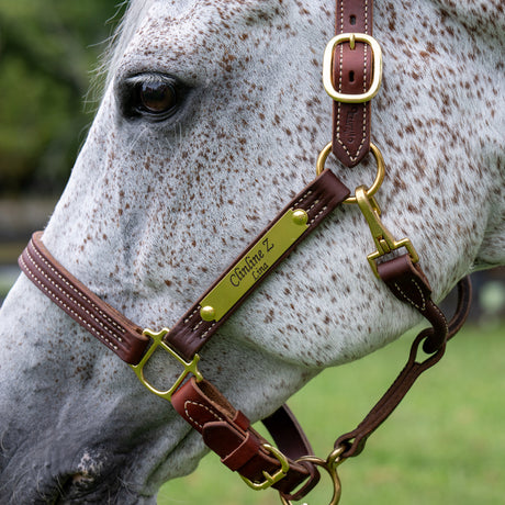 1" Triple Stitch Adjustable Leather Halter