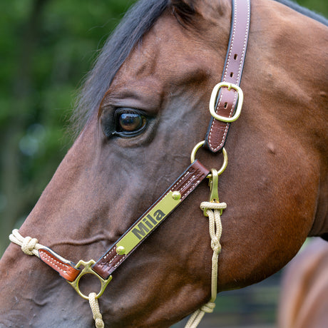 Kalley Krickeberg Leather & Rope Combination Horseman's Halter
