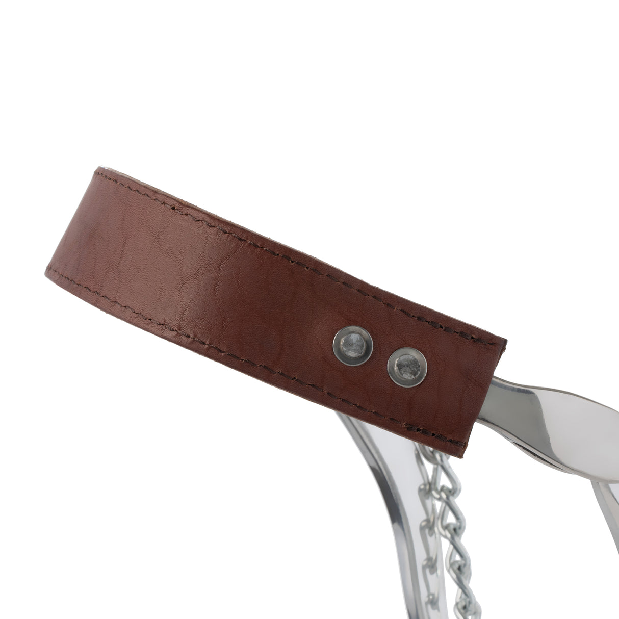 Hackamore with Flat Leather Noseband