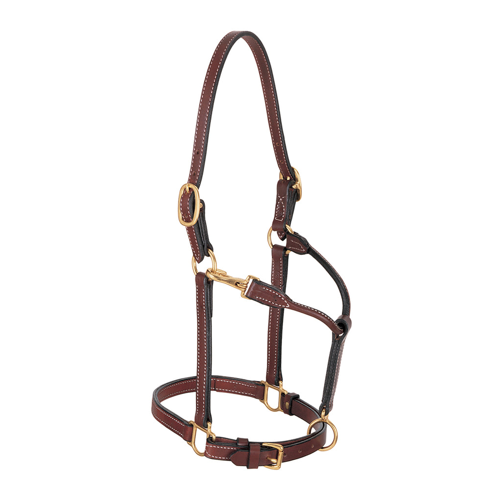 Premium Leather & Track Halters - Weaver Equine