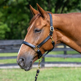 1" Triple Stitch Non-Adjustable Leather Halter