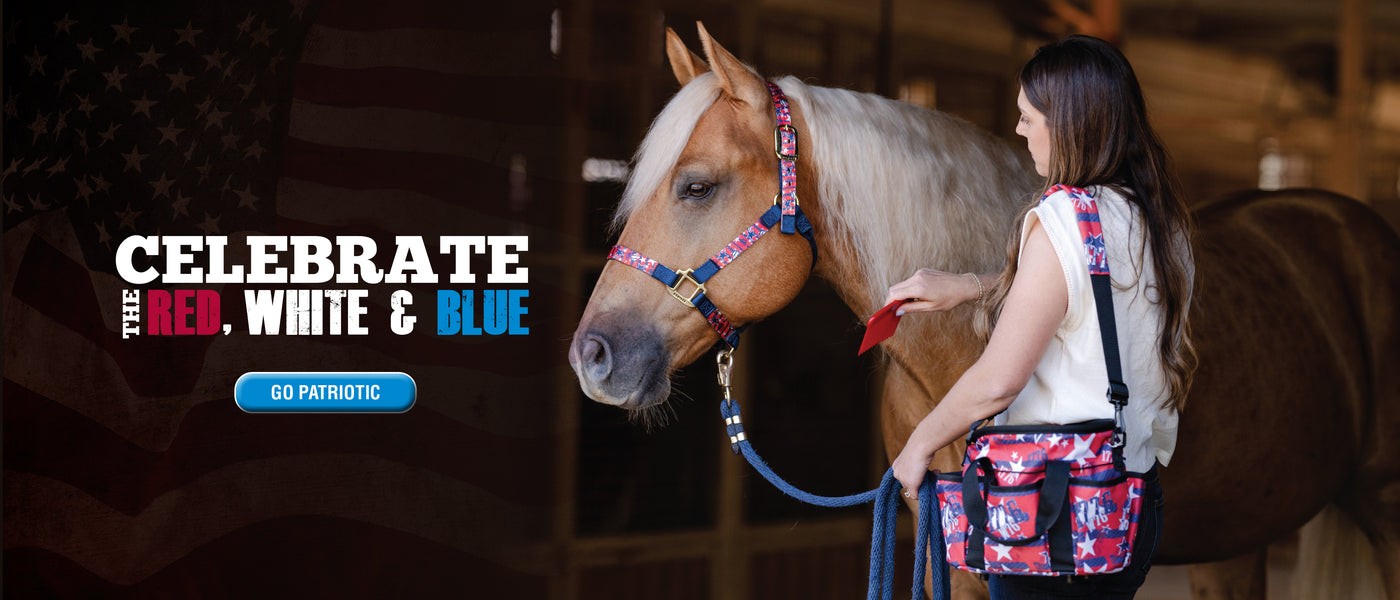 Woman grooming a palomino horse in a barn with matching red, white, and blue patriotic tack and grooming bag.