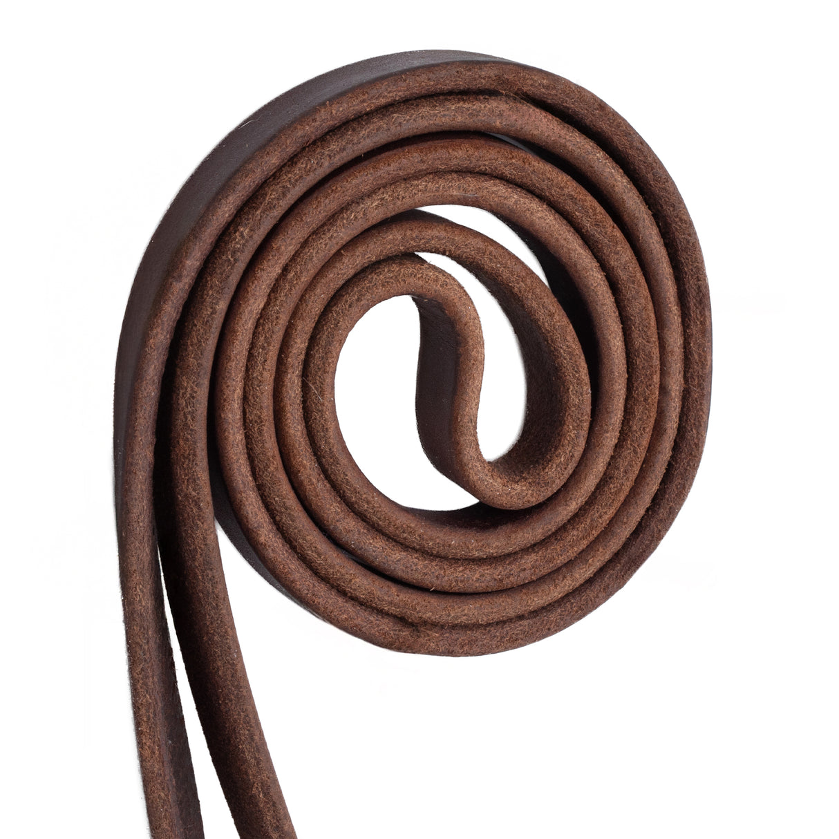 Browband Bridle with Double Cheek Buckles, Chicago Screw