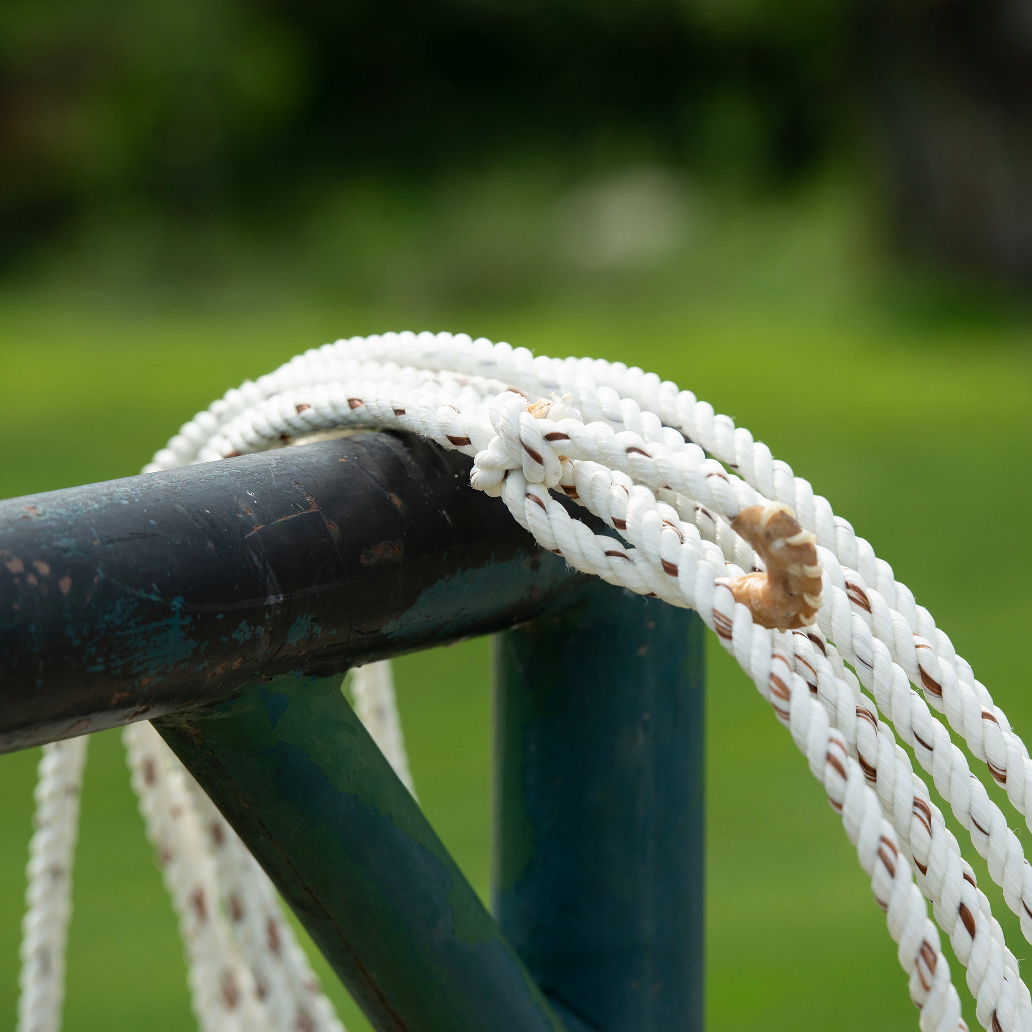 Ranch Ropes for Roping Training Durable and Balanced Feel – Weaver Equine