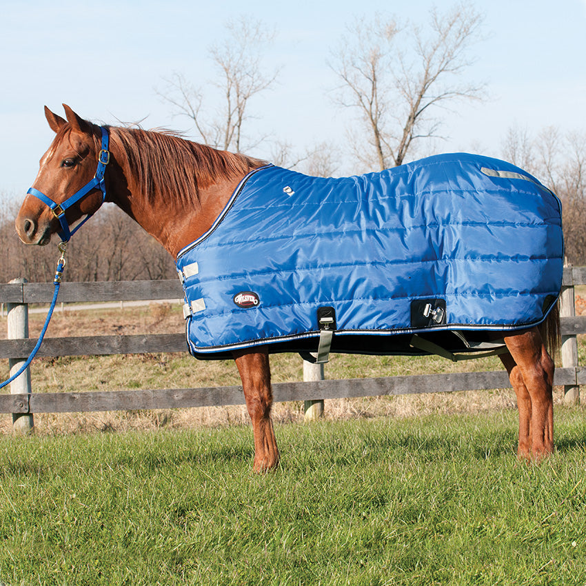 Winter Stable Blanket, Blue