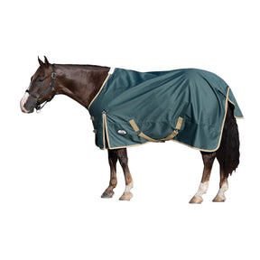 Horse wearing a green blanket on a white background