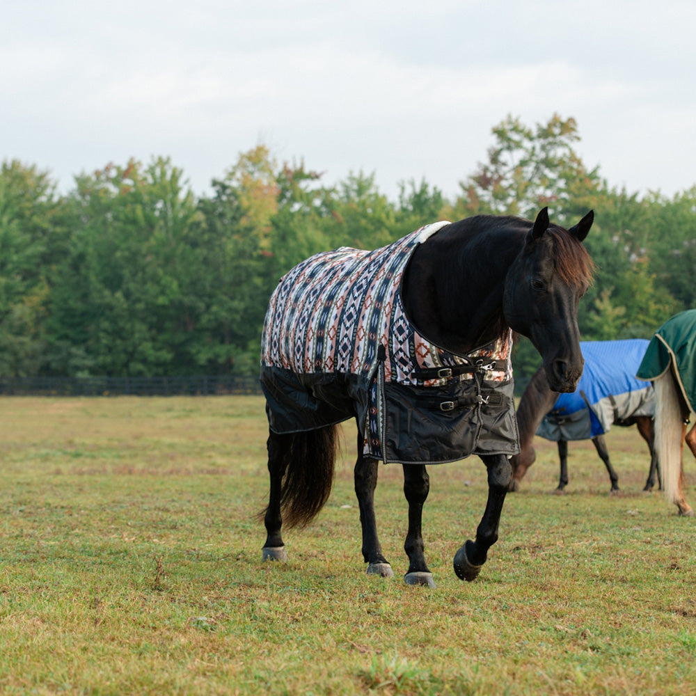 Medium Weight Horse Blanket for Turnout, 200g Fill, 600D - Weaver