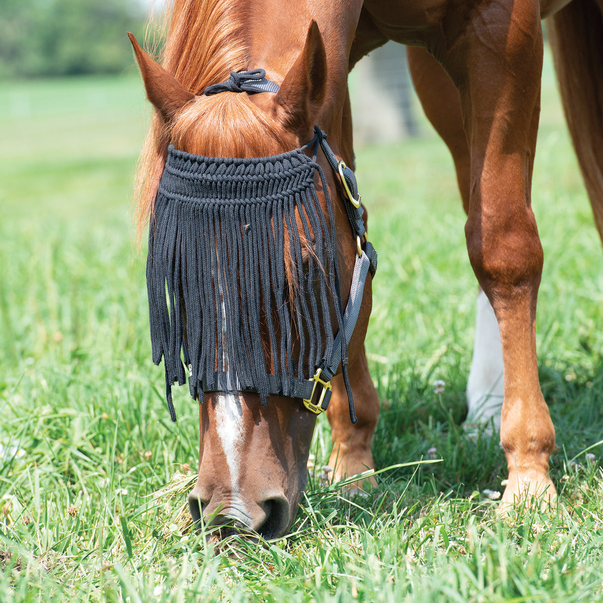 Horse Fly Bonnet with Cords