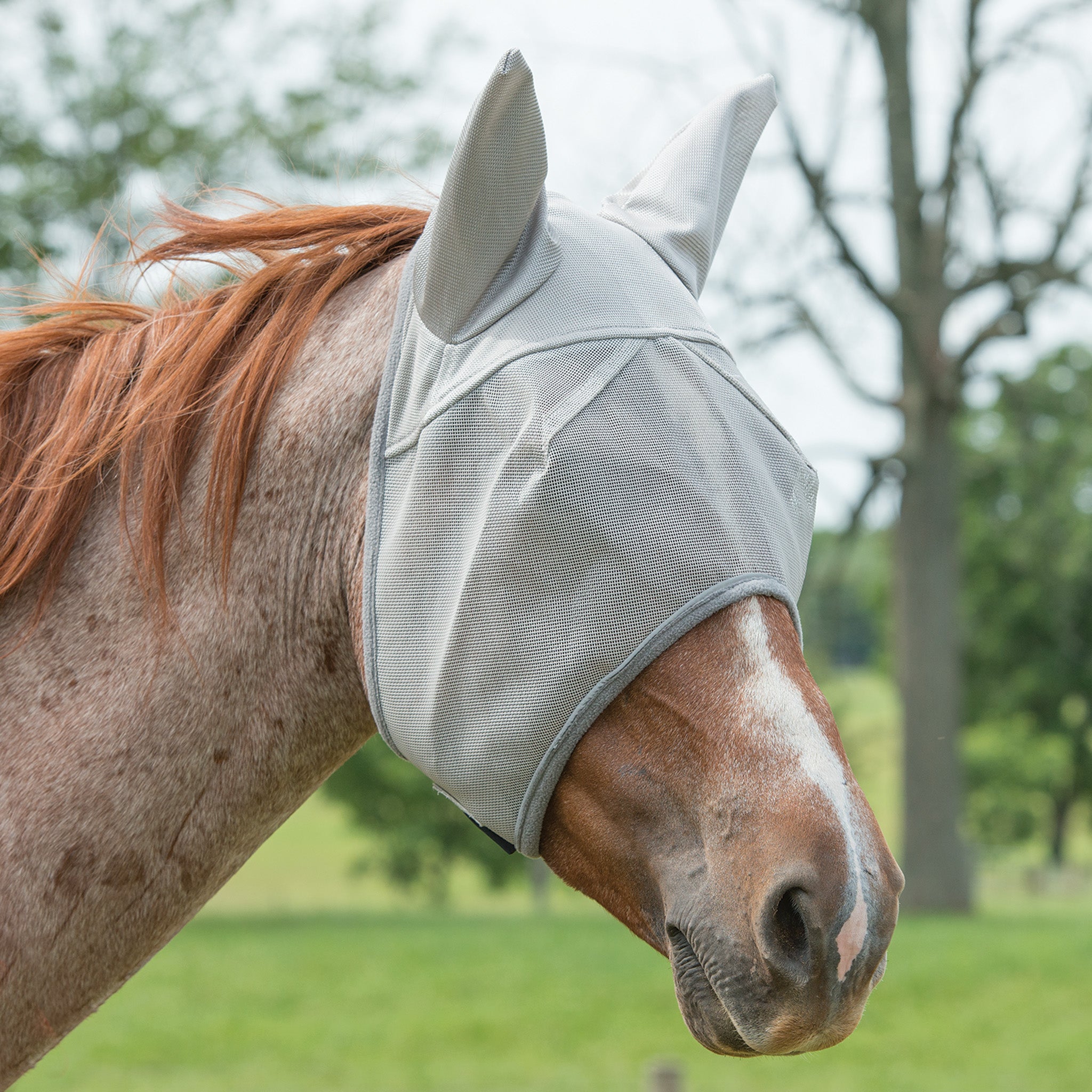 Horse Fly Mask With Ear Protection - Fine Mesh & Fleece Padding For Comfort (SmithBuilt)
