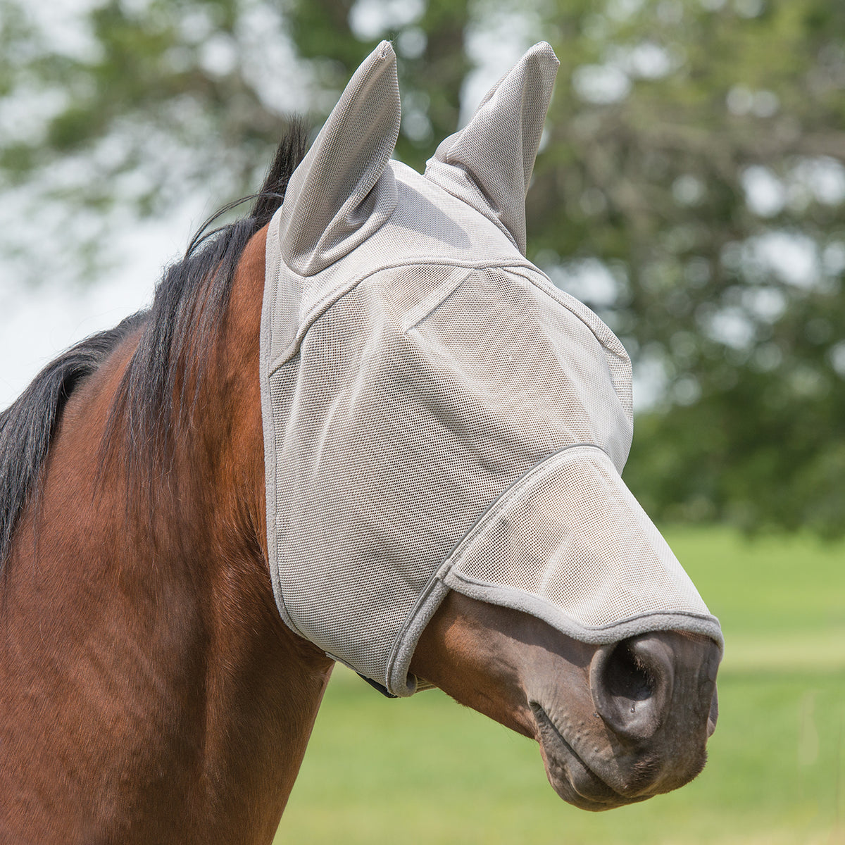 Fly Mask Nose and Ear Covered Fly Mask with XL Closure – Weaver Equine