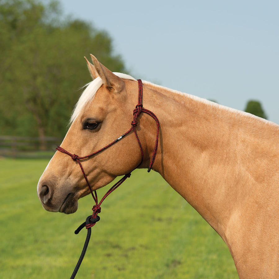 Silvertip Big Sky Rope Halter – Weaver Equine