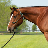 Silvertip Big Sky Rope Halter