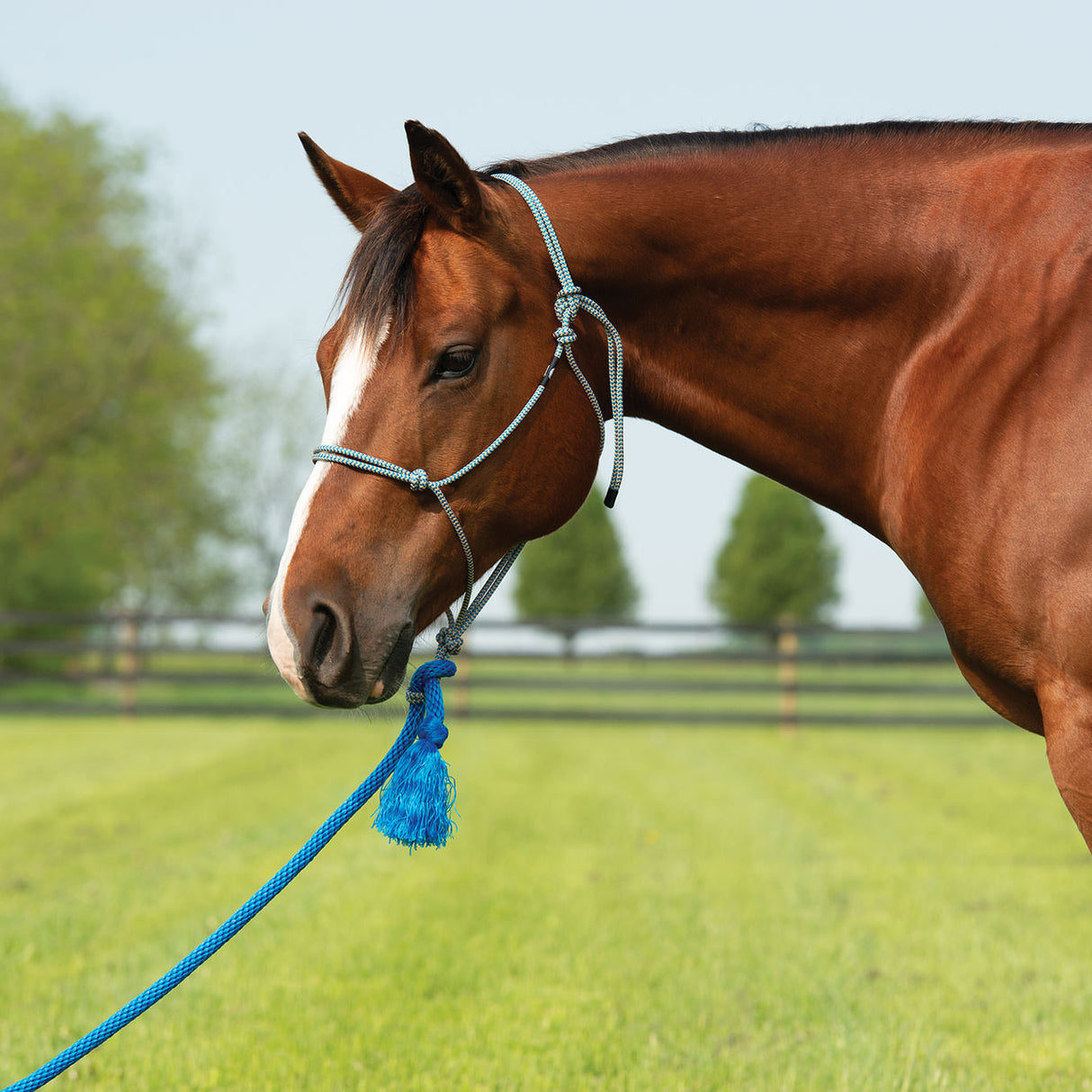 Silvertip Big Sky Rope Halter