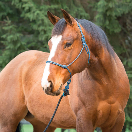 Silvertip Big Sky Rope Halter