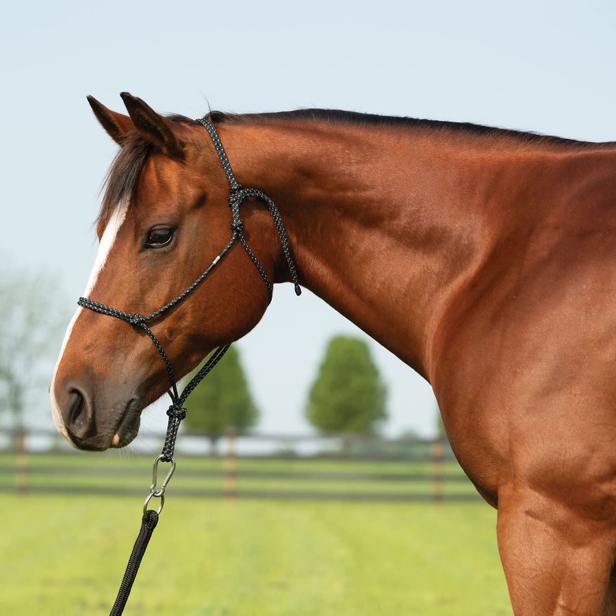 Silvertip Big Sky Rope Halter – Weaver Equine