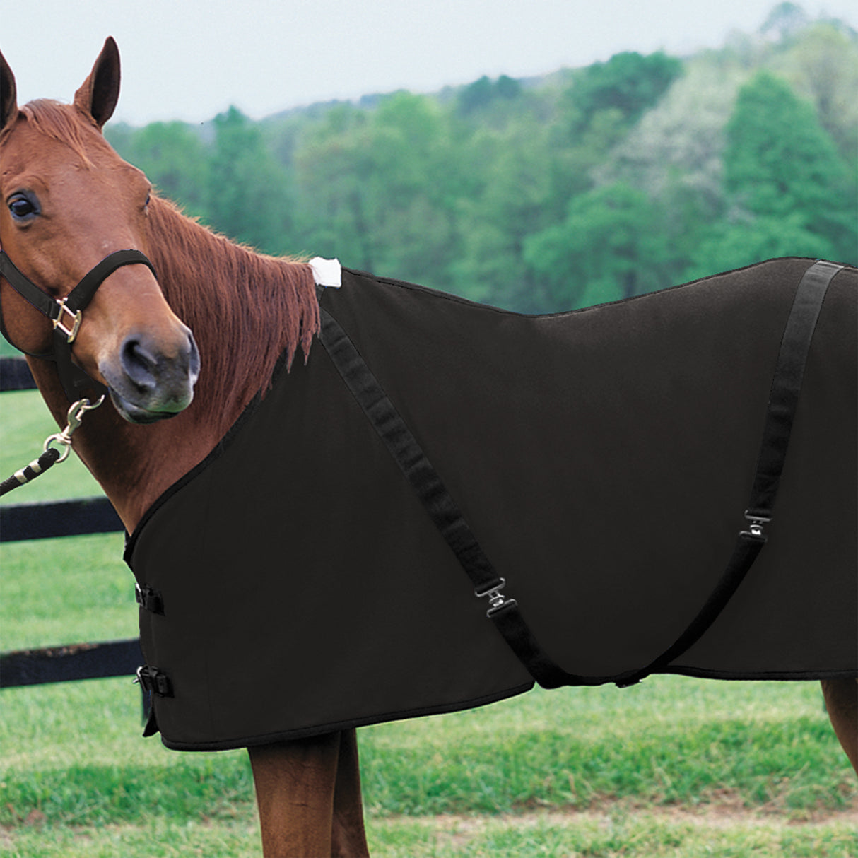 Polar Fleece Sheet