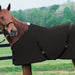 Polar Fleece Sheet