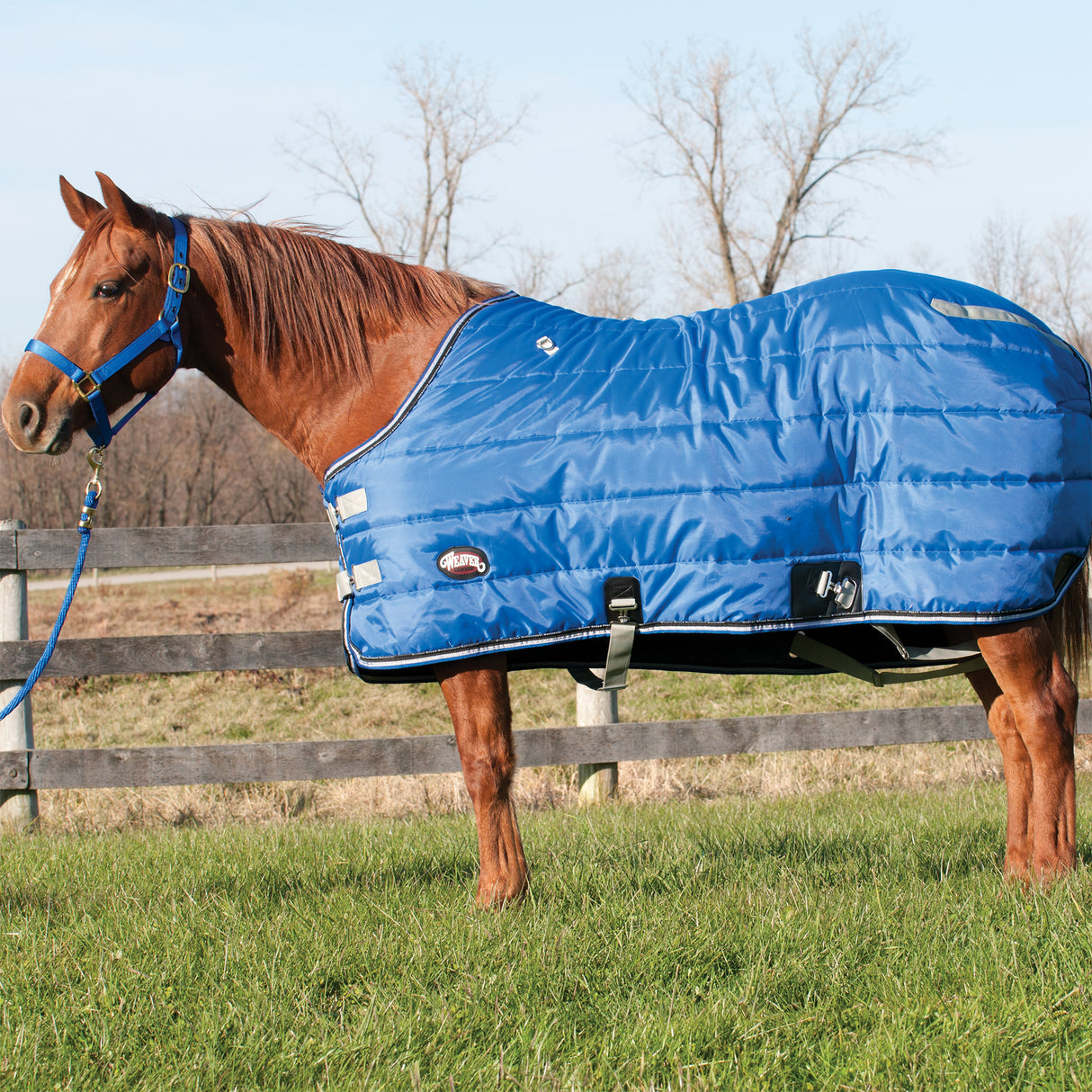Winter Stable Blanket, 420-denier