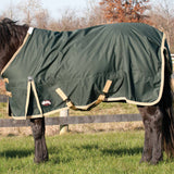 Horse wearing a green blanket in an outdoor setting with trees and grass.