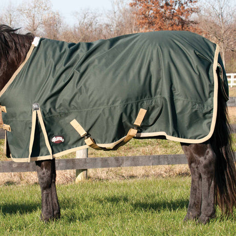 Horse Blanket for Turnout, Medium Weight, 200g Fill, 600 Denier Ripstop