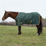 Horse wearing a green blanket standing in a grassy field.