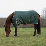 Horse grazing in a field wearing a green blanket