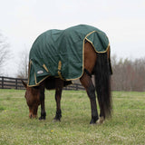 Horse Blanket for Turnout, Medium Weight, 200g Fill, 600 Denier Ripstop