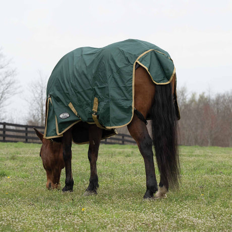 Horse Blanket for Turnout, Medium Weight, 200g Fill, 600 Denier Ripstop