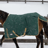 Horse wearing a green winter blanket in a snowy environment