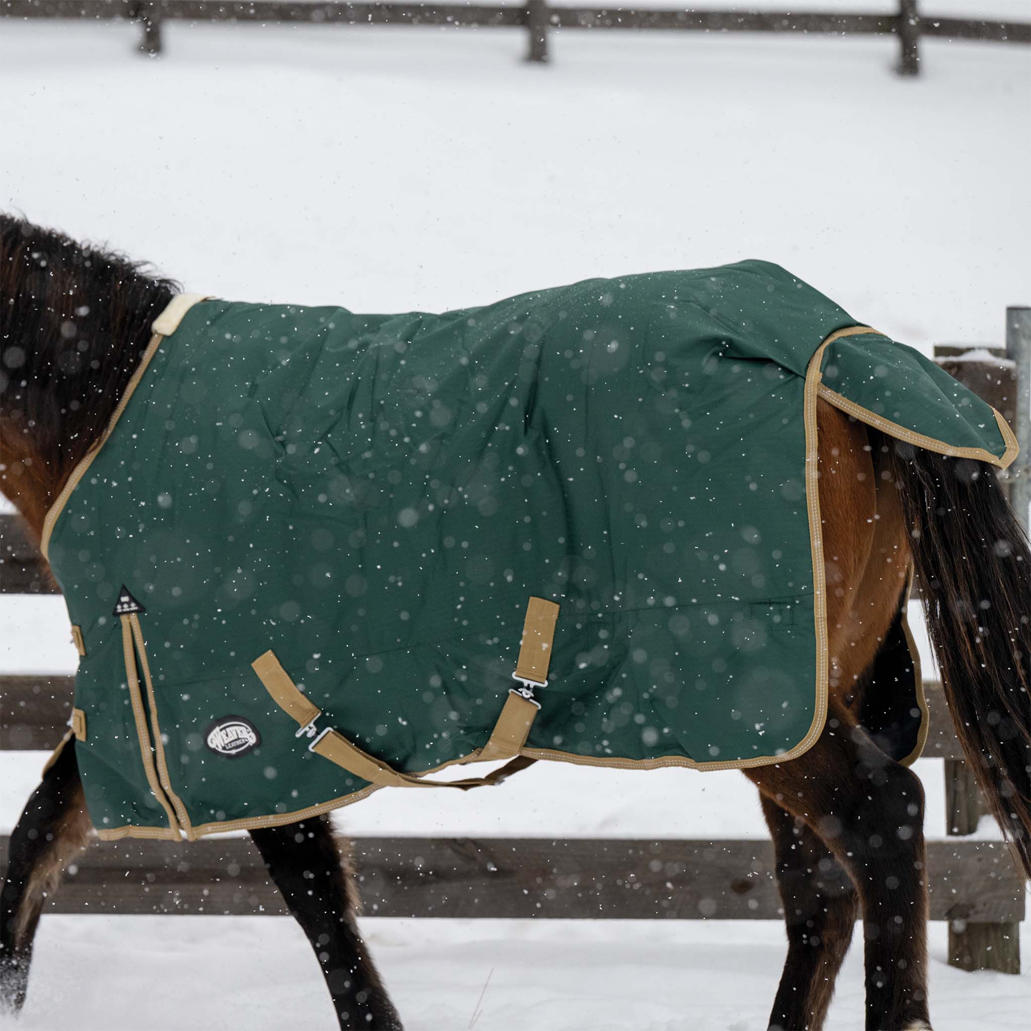 Horse Blanket for Turnout, Medium Weight 200g Fill, 600D - Weaver