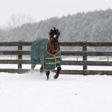 Horse wearing a green blanket standing in a snowy field with a wooden fence and trees in the background.