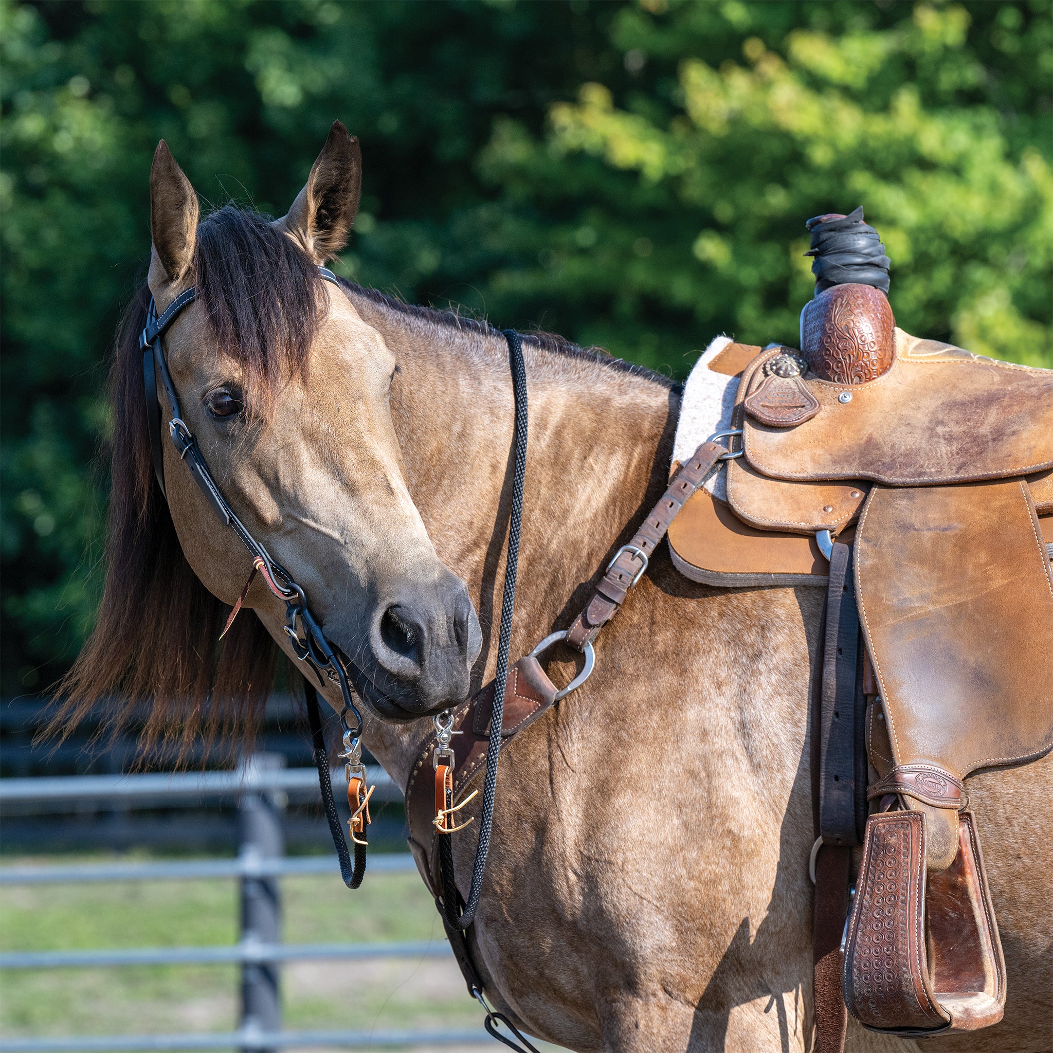 Weaver Equine Vaquero Split Reins - Thumbnail 2