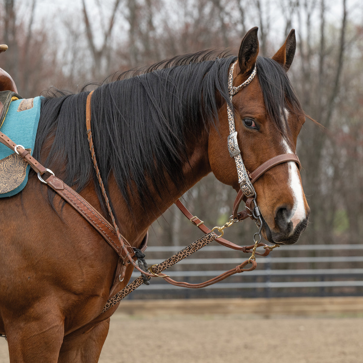 Patterned Deluxe Horse Tie Down Strap