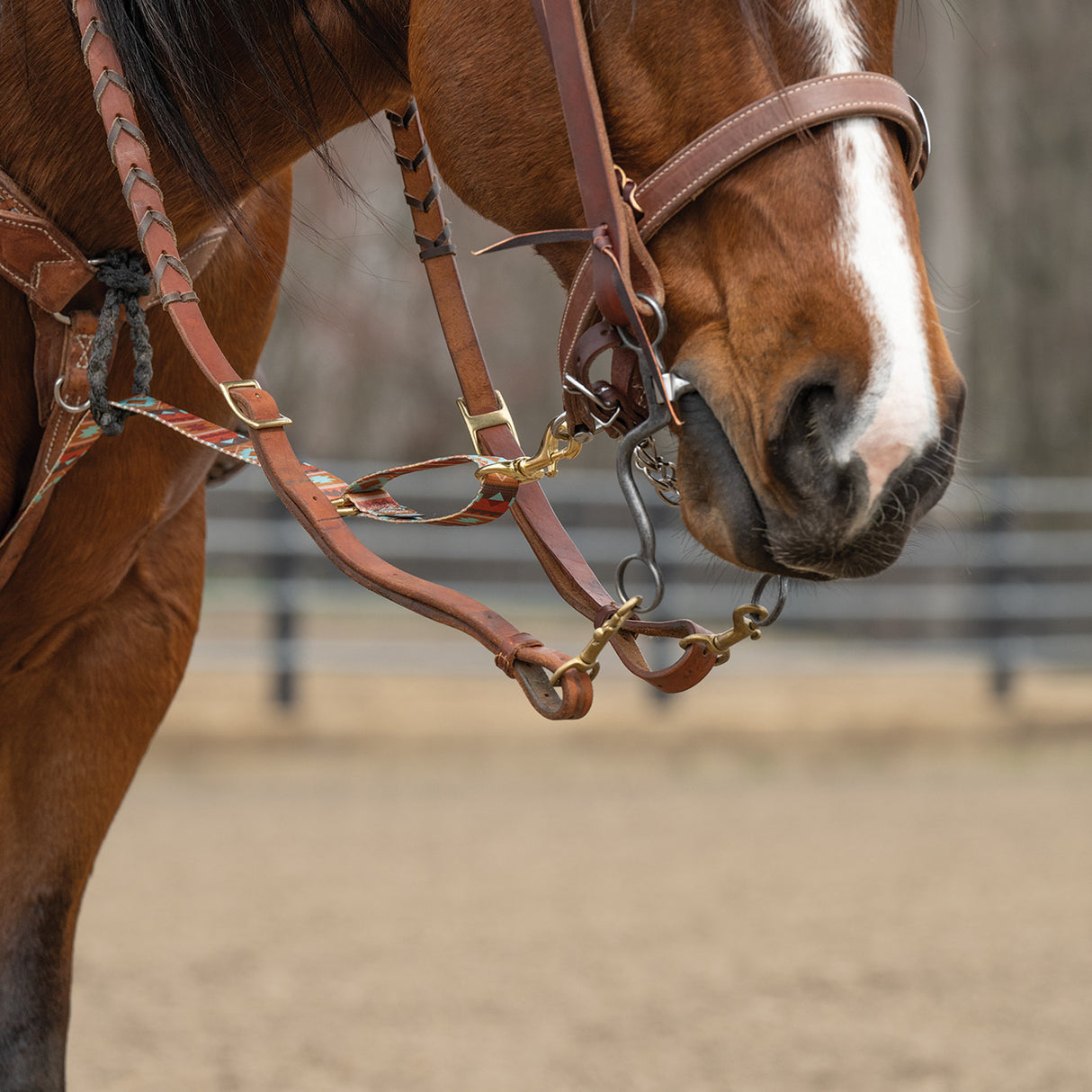 Patterned Deluxe Horse Tie Down Strap