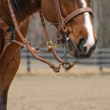 Patterned Deluxe Horse Tie Down Strap
