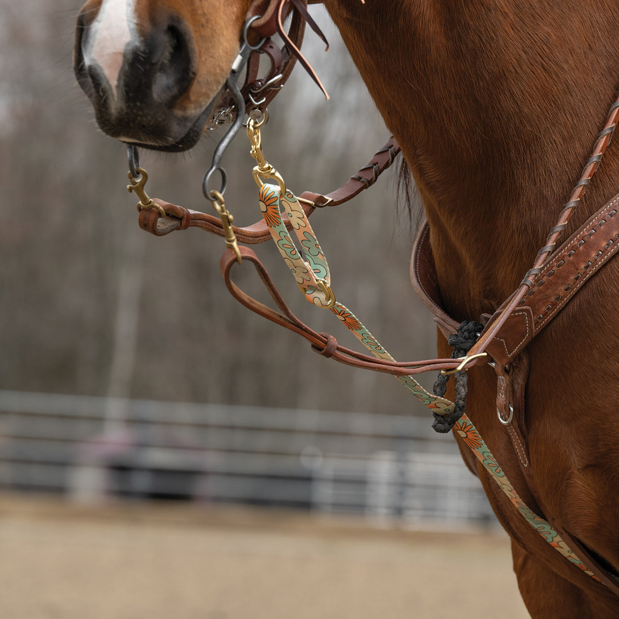 Patterned Deluxe Horse Tie Down Strap