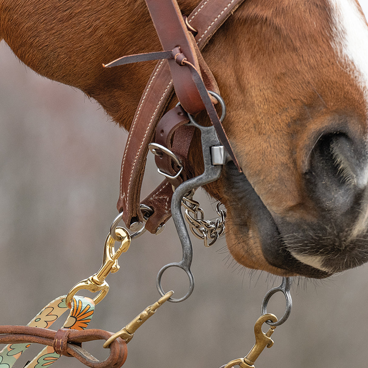 Patterned Deluxe Horse Tie Down Strap