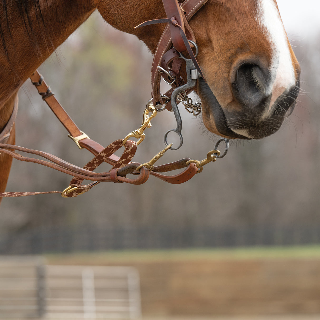 Patterned Deluxe Horse Tie Down Strap