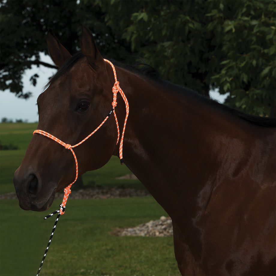Silvertip Reflective Rope Halter, Average, Black - Weaver Leather Equine –  Weaver Equine